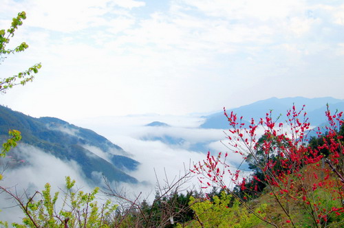 圖檔